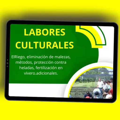 [C09] LABORES CULTURALES EN VIVEROS FORESTALES 🌱🌳🤠