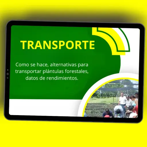 [C10] EL TRANSPORTE EN VIVEROS FORESTALES 🌱🌳🤠
