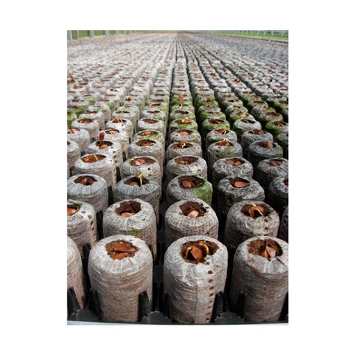 [BA7] JIFFYS PELLET 36x100 mm caja x 768 unidades