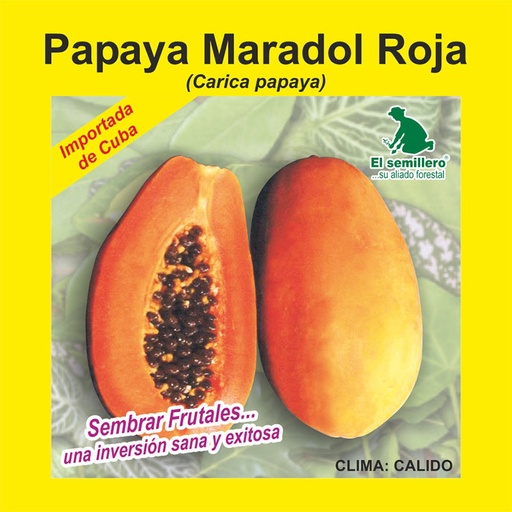 [HH6] PAPAYA MARADOL X 100 SEMILLAS