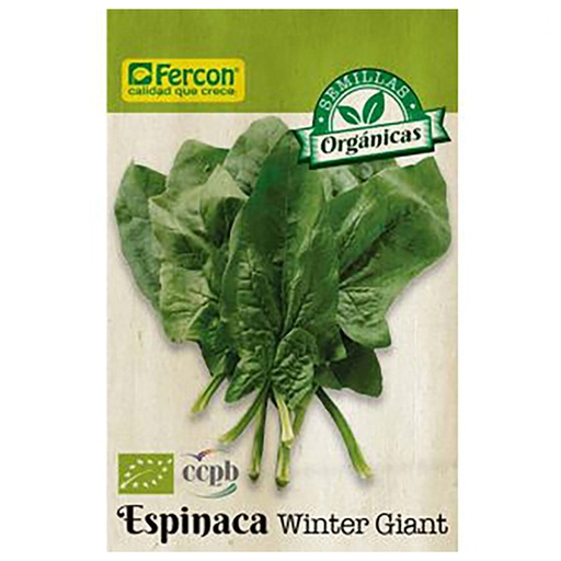 [HO2] ESPINACA ORGANICA WINTER GIANT BIO X 2GR (SEMILLA)