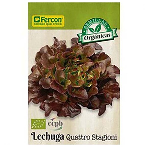 [HO4] LECHUGA ORGANICA QUATTRO STAMGIONI BIO X 1GR (SEMILLA)