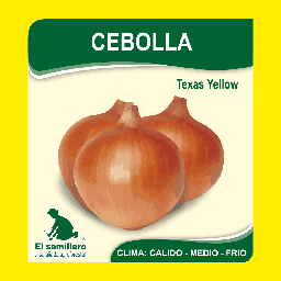 CEBOLLA TEXAS YELLOW GRAND 502 (SEMILLA)