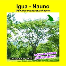 IGUÁ - NAUNO