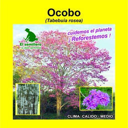 OCOBO/FLORMORADO