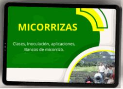 LAS MICORRIZAS 🌱🌳🤠 - CURSO EN VIVEROS FORESTALES