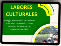 LABORES CULTURALES EN VIVEROS FORESTALES 🌱🌳🤠 - CURSO EN VIVEROS FORESTALES