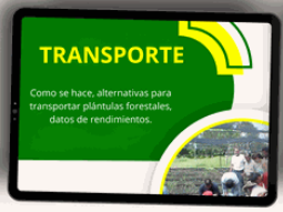 EL TRANSPORTE EN VIVEROS FORESTALES 🌱🌳🤠 - CURSO EN VIVEROS FORESTALES