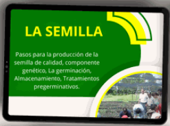 LA SEMILLA FORESTAL 🌱🌳 - CURSO EN VIVEROS FORESTALES