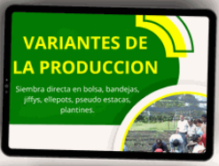 VARIANTES DE LA PRODUCCION EN VIVERO FORESTAL🌳🤠 - CURSO EN VIVEROS FORESTALES