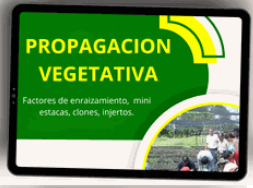 PROPAGACION VEGETATIVA FORESTAL 🌱🌳🤠 - CURSO EN VIVEROS FORESTALES