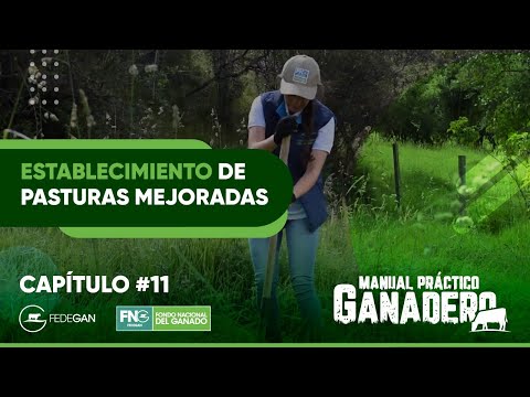 Establecimiento de pasturas mejoradas