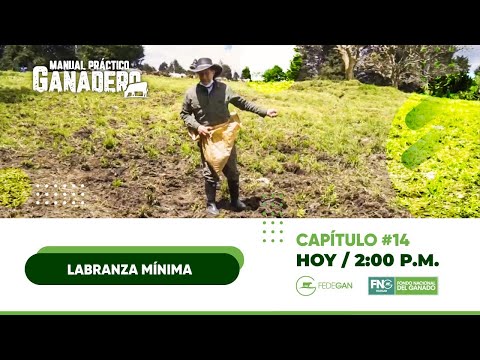Labranza Mínima