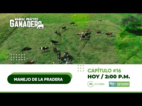 Manejo de la pradera