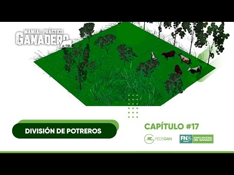 División de potreros