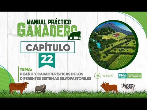 Diseño y características de los Sistemas Silvopastoriles