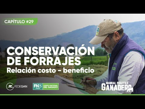 Conservación de forrajes: Relación costo - beneficio