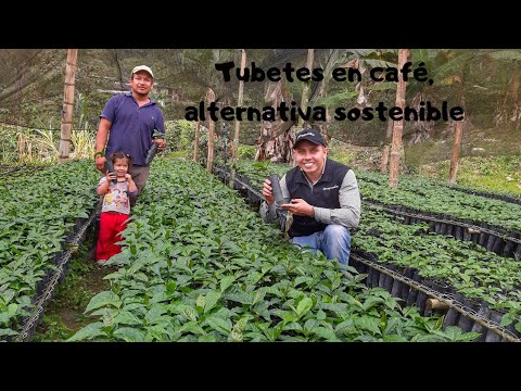Tubetes en Café, una alternativa sostenible