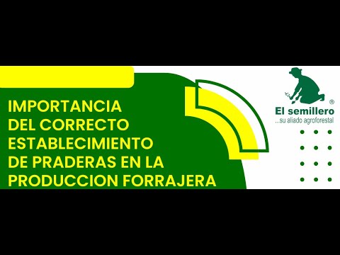 IMPORTANCIA DEL CORRECTO ESTABLECIMIENTO DE PRADERAS EN LA PRODUCCION FORRAJERA🌱🌳🤠🌟🔥