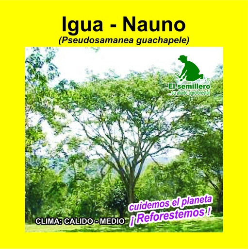Igua
