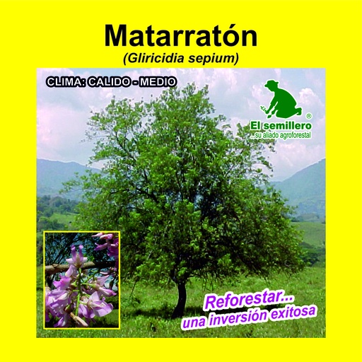Matarraton