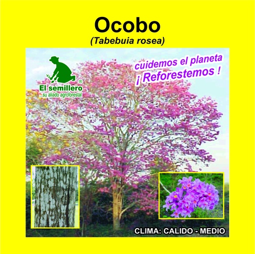 Ocobo /Flormorado /Roble