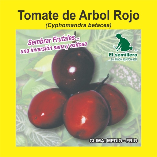 Tomate de Arbol Rojo