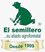 Pasto Azul Orchoro