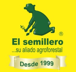 Avena Seleccionada