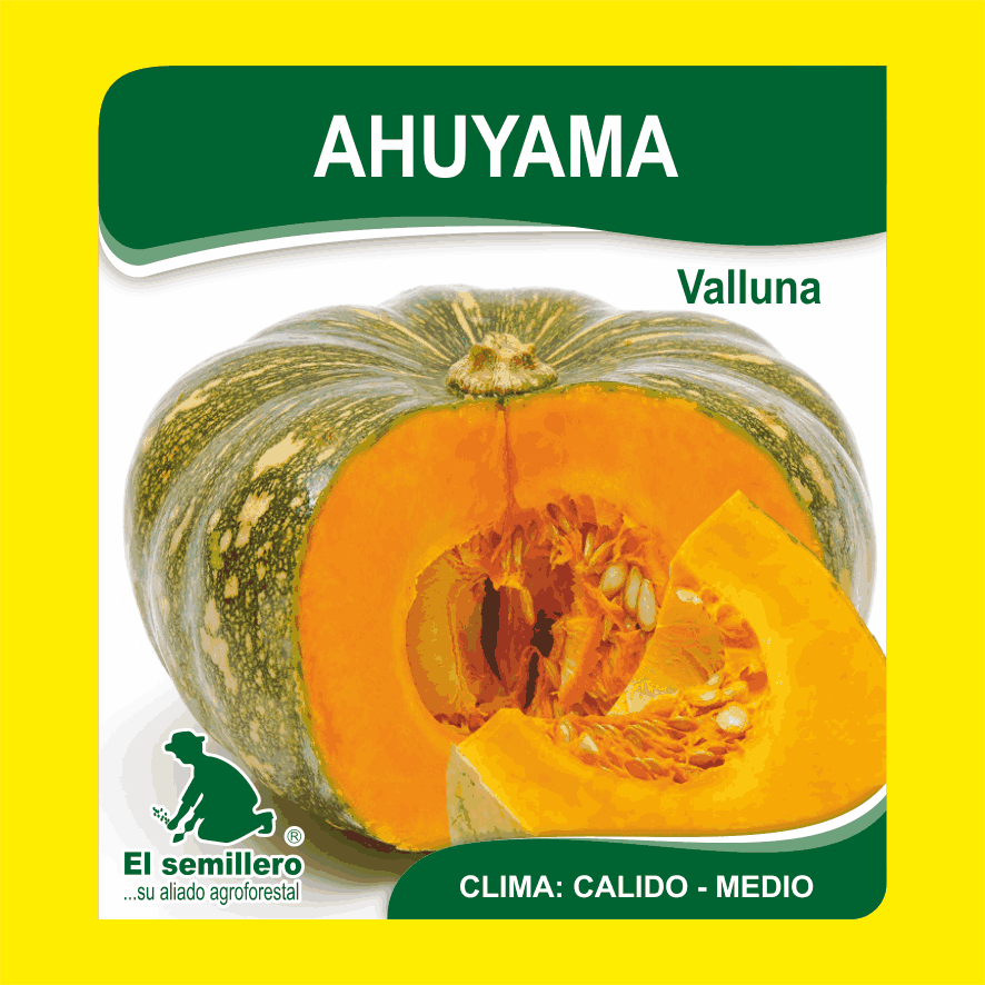 Ahuyama Valluna