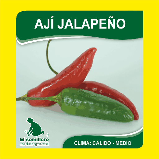 Aji Jalapeño