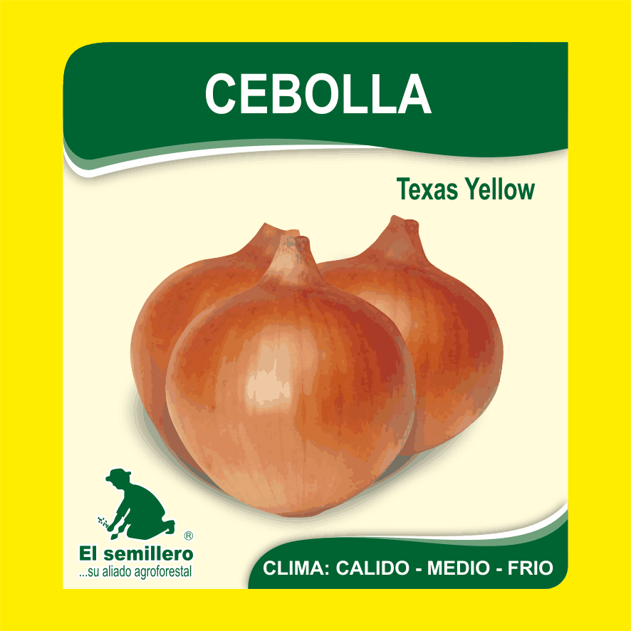Cebolla Texas Yellow Grand