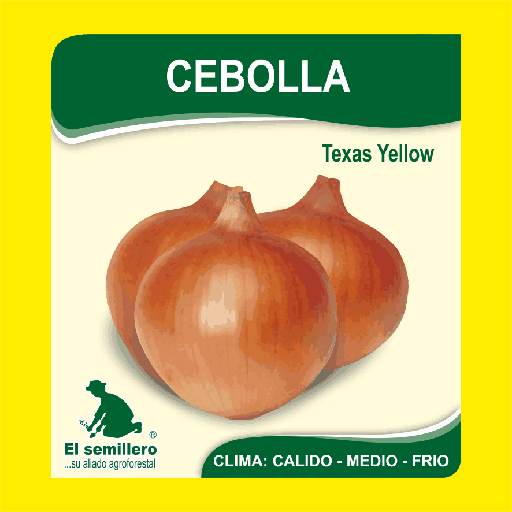 Cebolla Texas Yellow Grand