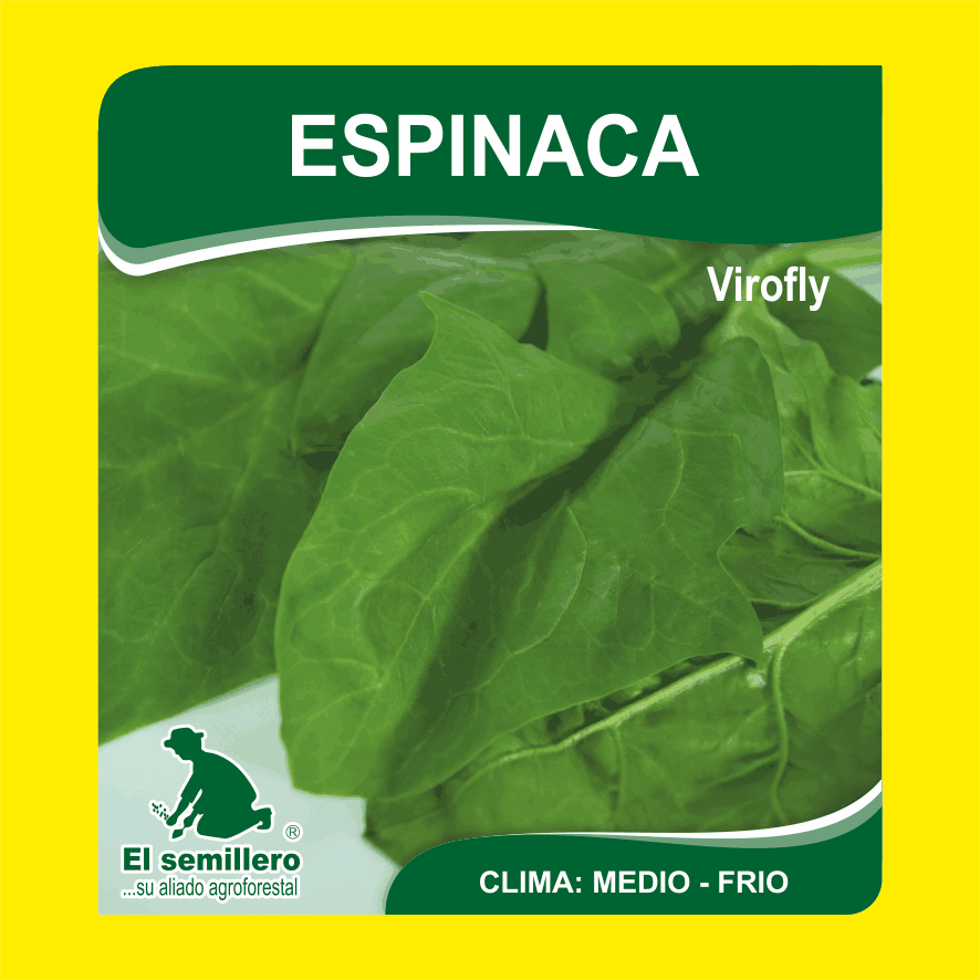 Espinaca Virofly
