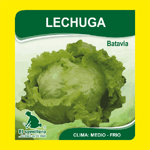 Lechuga Grandes Lagos