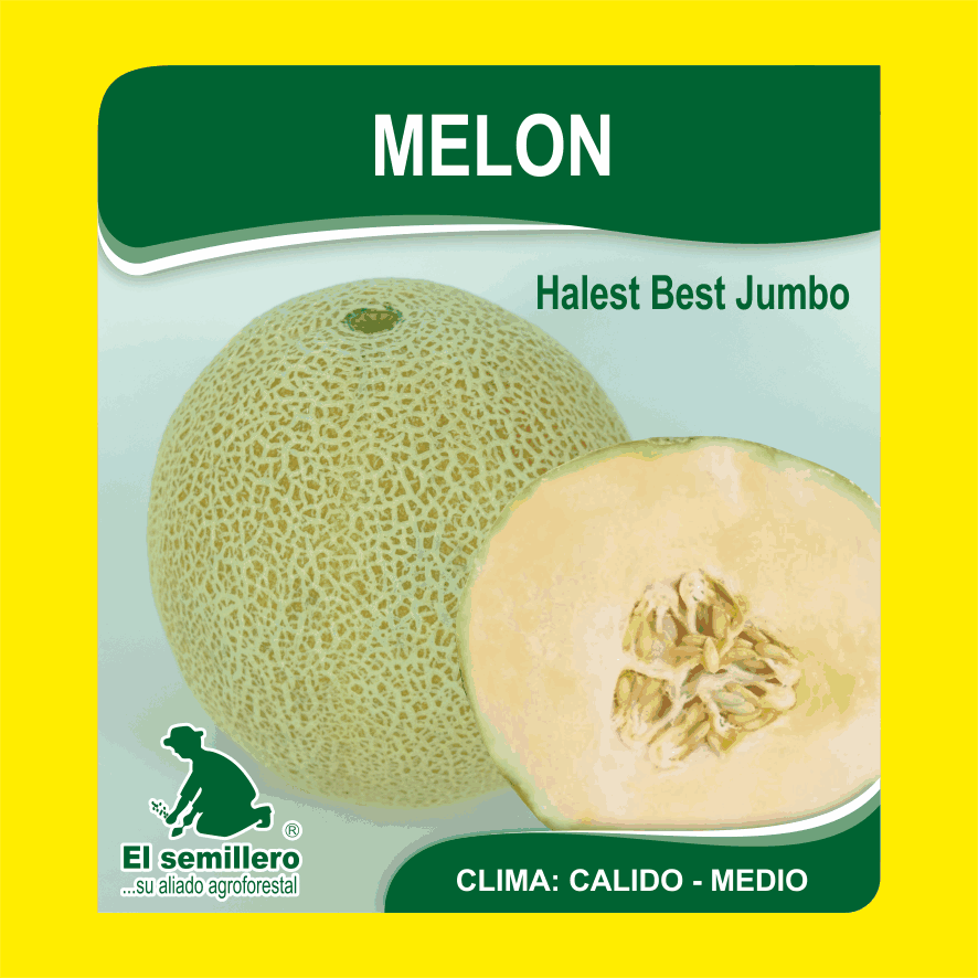 Melon Hales Best Jumbo