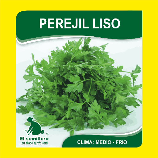 Perejil Liso