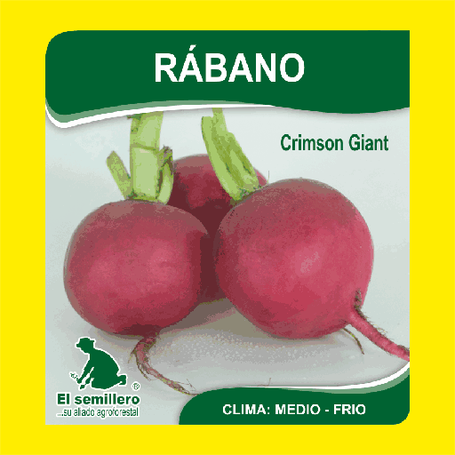 Rabano Crimson Giant Rojo