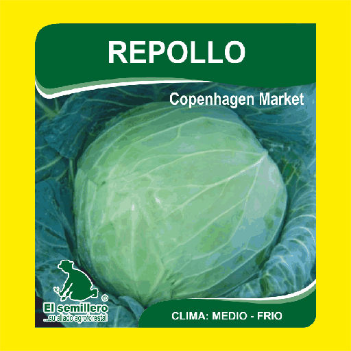 Repollo Cophenagen Market