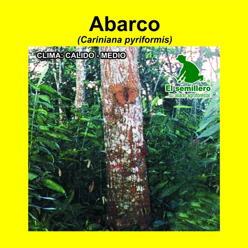 Abarco