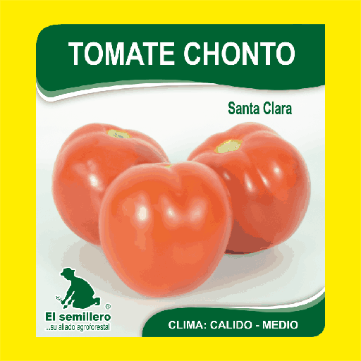 Sandia Chonto Santa Clara