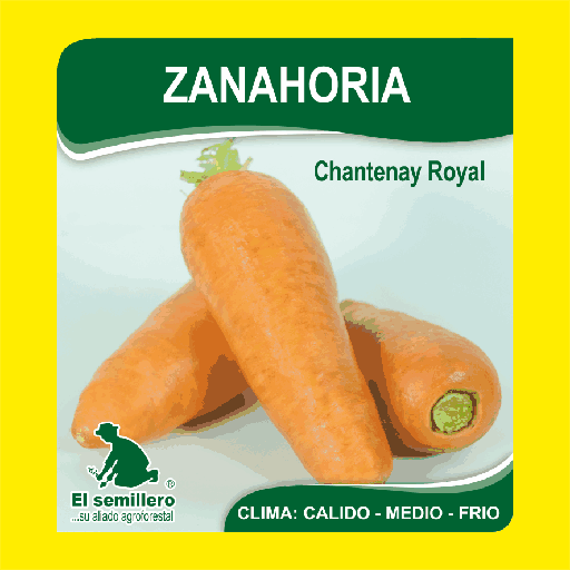 Zanahoria Chantenay Royal