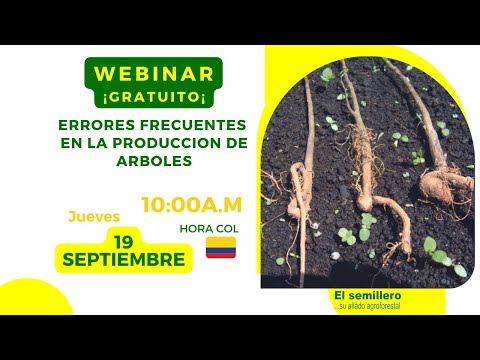 ERRORES FRECUENTES EN LA PRODUCCION DE ARBOLES 🌳🌳🌳