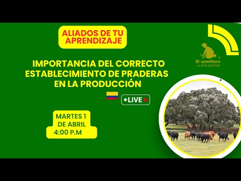 Importancia del correcto establecimiento de praderas  en la producción 🌱🌾