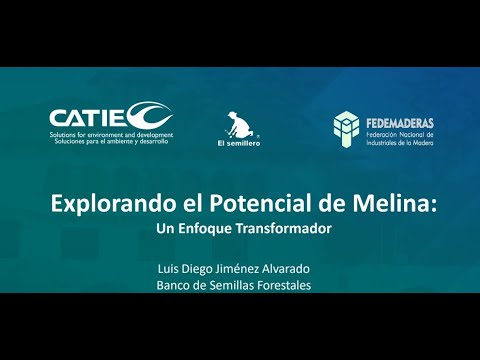 Descubre El Potencial de la Melina