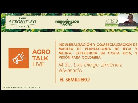 Industrialización y comercialización de madera de plantaciones forestales de Teca y Melina