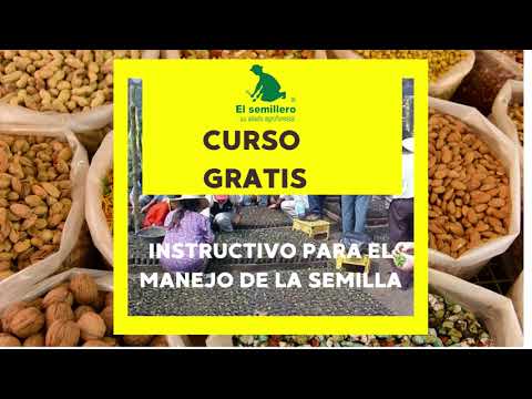 INSTRUCTIVO PARA EL MANEJO DE LA SEMILLA, EL SEMILLERO