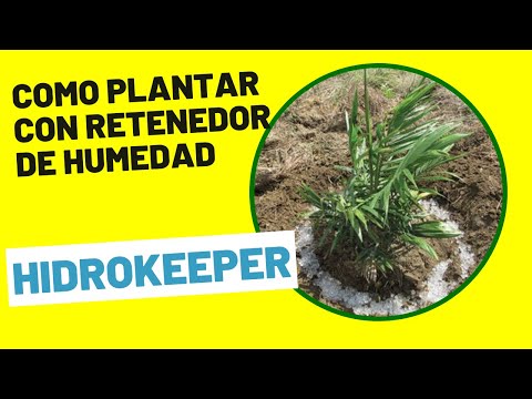Como Plantar con Retenedor de Agua - Hidrokeeper
