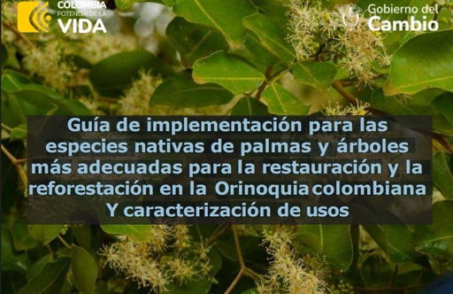 Guía de implementación para las especies nativas de palmas y árboles más adecuadas para la restauración y la reforestación en la Orinoquiacolombiana Y caracterización de usos