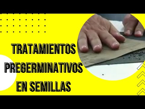 Tratamientos Pregerminativos en semillas